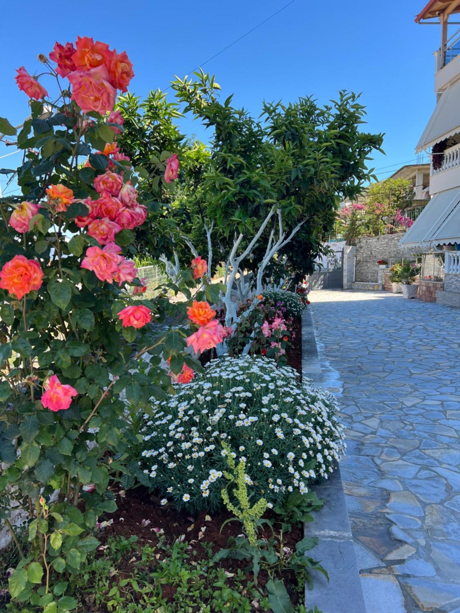 Amazing Familiar Apartments And Rooms Sarandë Esterno foto