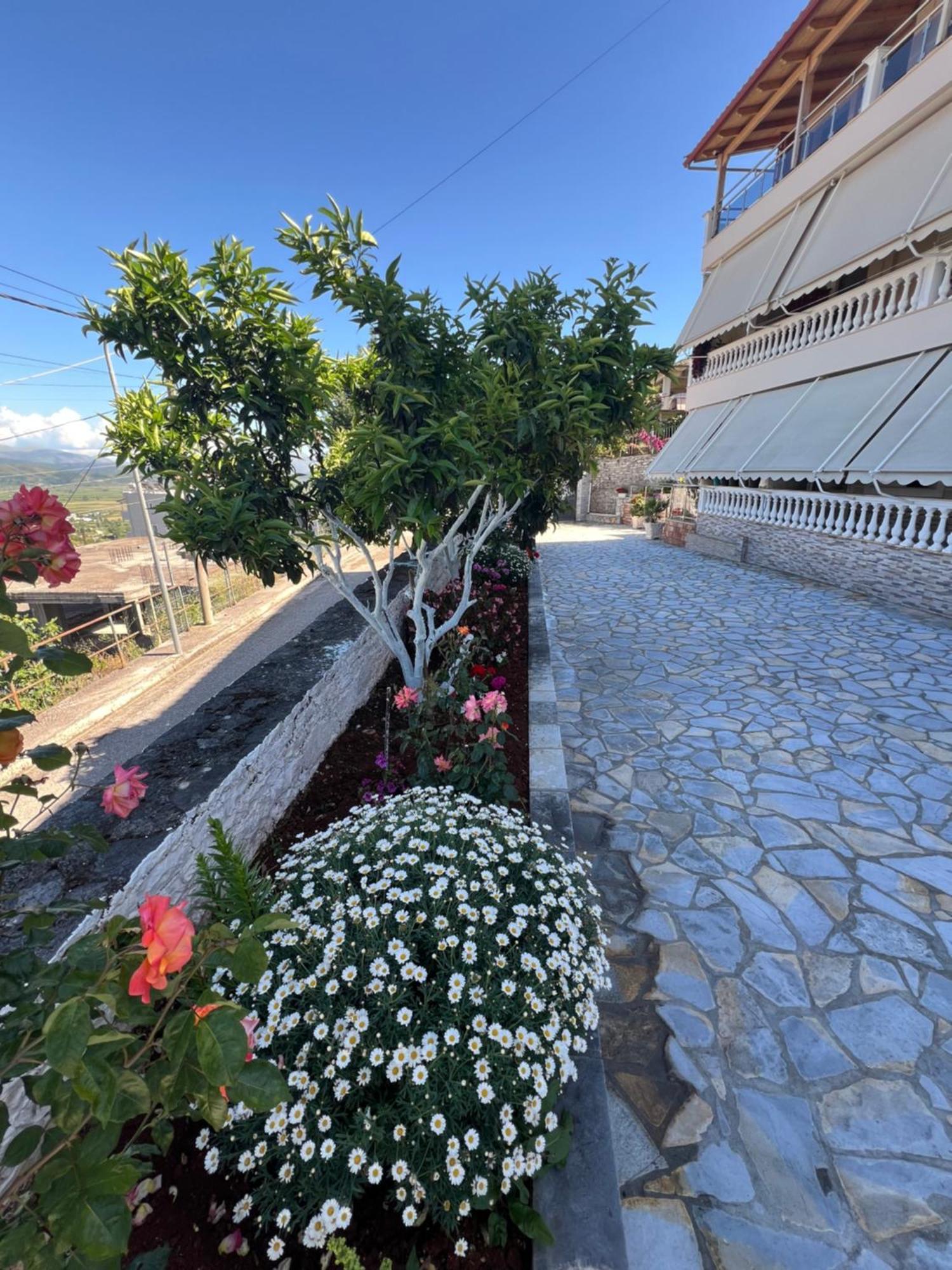 Amazing Familiar Apartments And Rooms Sarandë Esterno foto