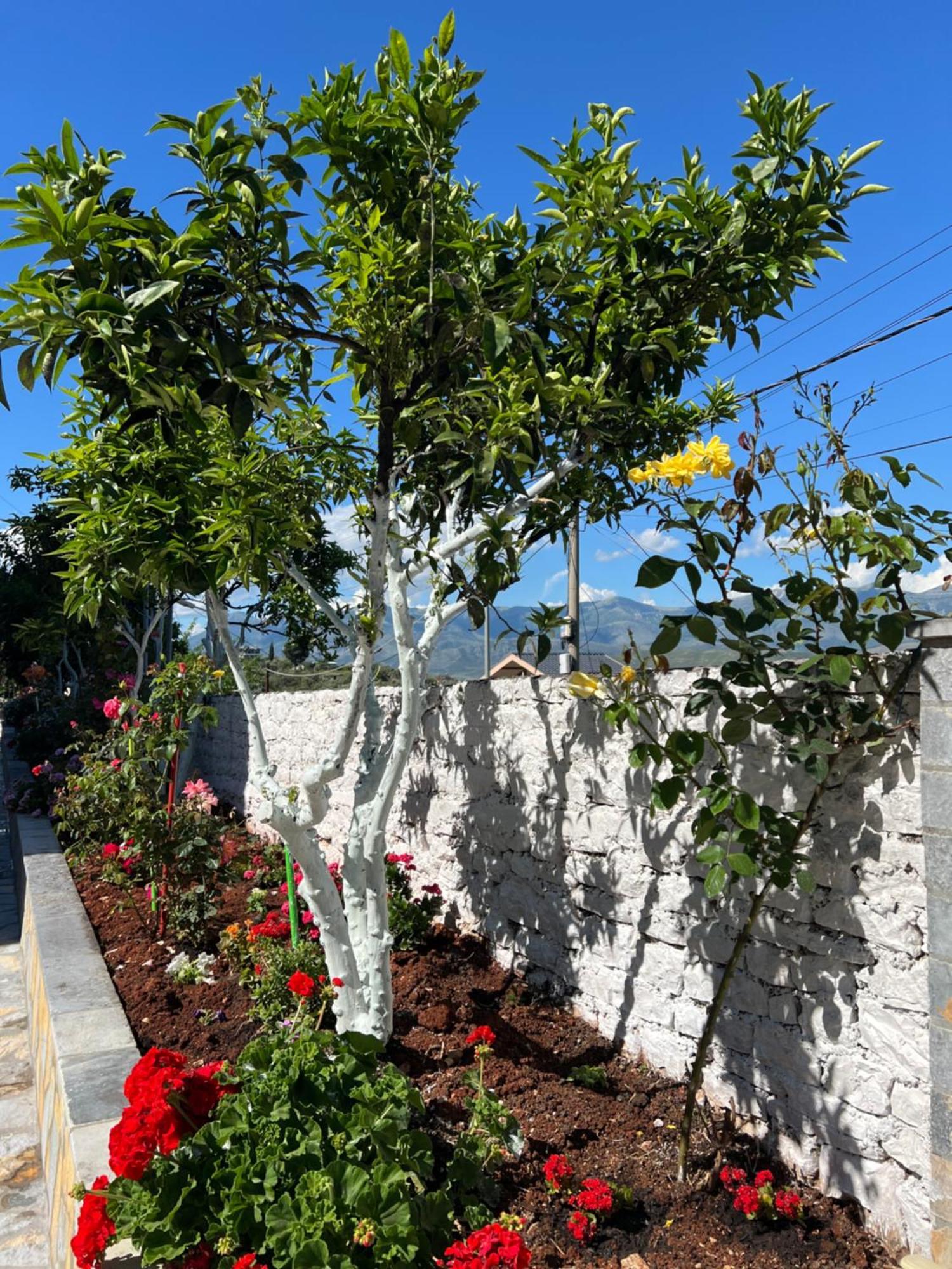 Amazing Familiar Apartments And Rooms Sarandë Esterno foto
